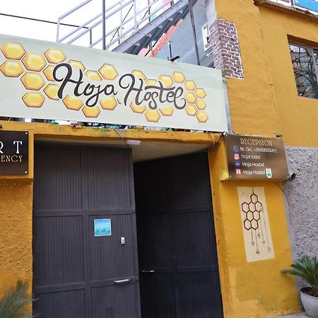 Hoja Hostel Тирана Экстерьер фото